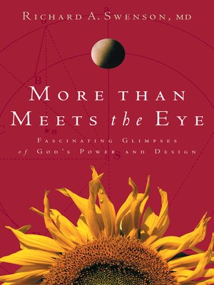 cover image of More Than Meets the Eye